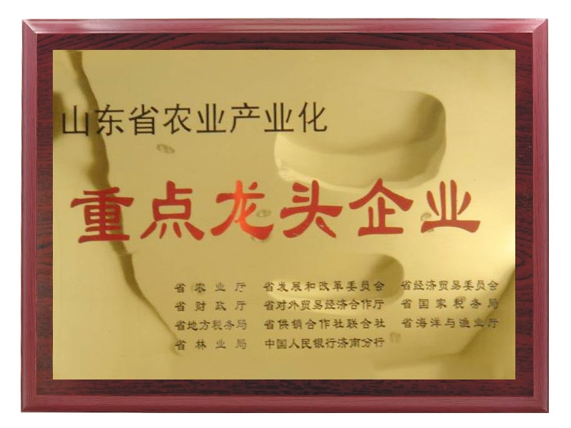 山東省農業(yè)產業(yè)化重點龍頭企業(yè)
